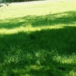 phoca_thumb_m_do hjovny 41 Fotogalerie
